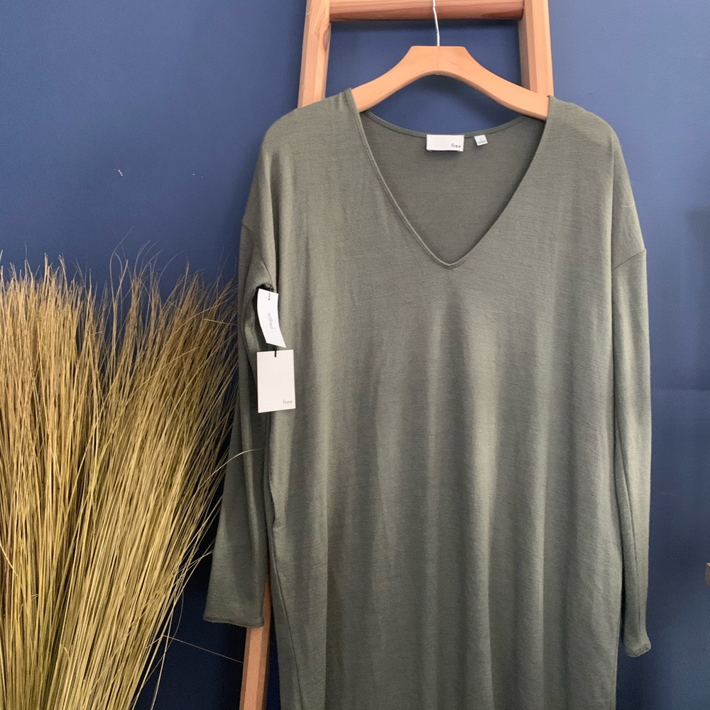 Aritzia Wilifred Free Gail Dress